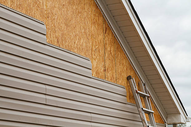 Professional Siding Repair technician working in Jetersville, VA